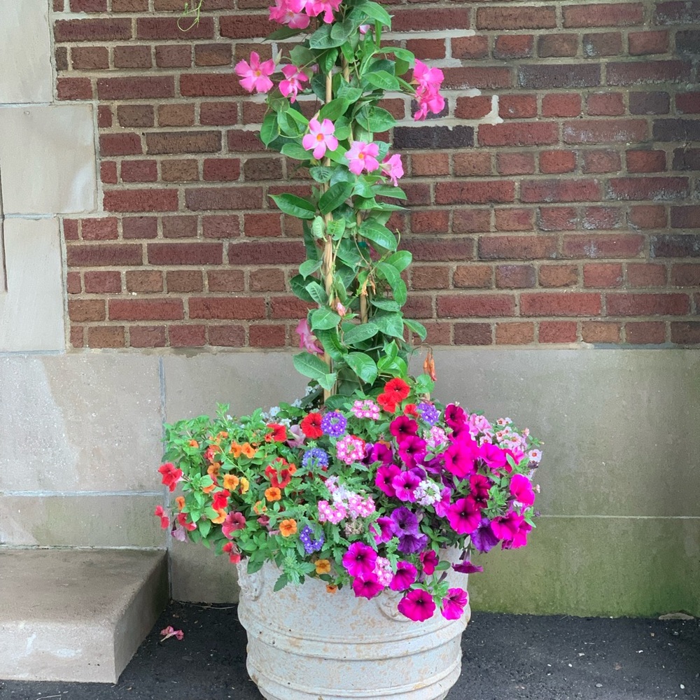 Meet your Posher, Karen t